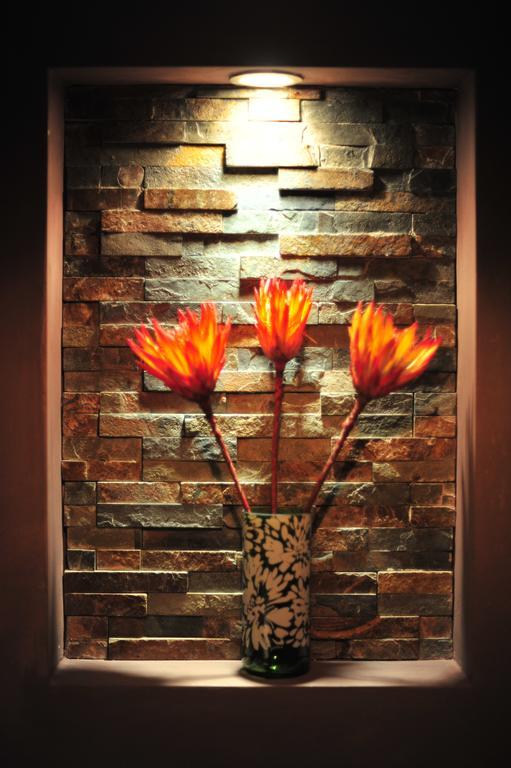 Hoogkarspel Agapanthus Bed And Breakfast المظهر الخارجي الصورة