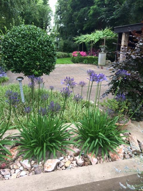 Hoogkarspel Agapanthus Bed And Breakfast المظهر الخارجي الصورة
