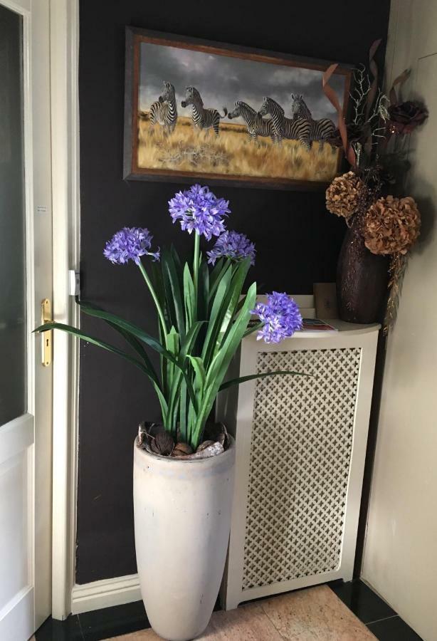 Hoogkarspel Agapanthus Bed And Breakfast المظهر الخارجي الصورة